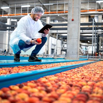 esp-plans-traçabilitat