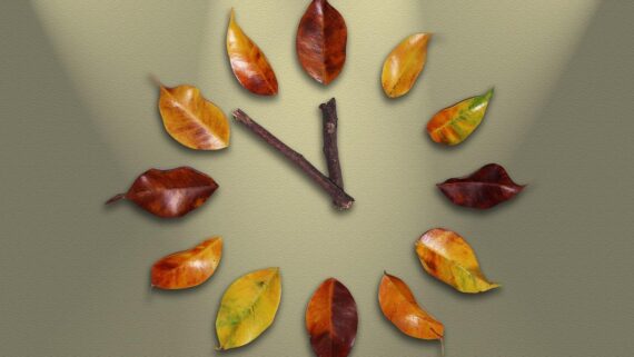 Rellotge fet amb fulles seques