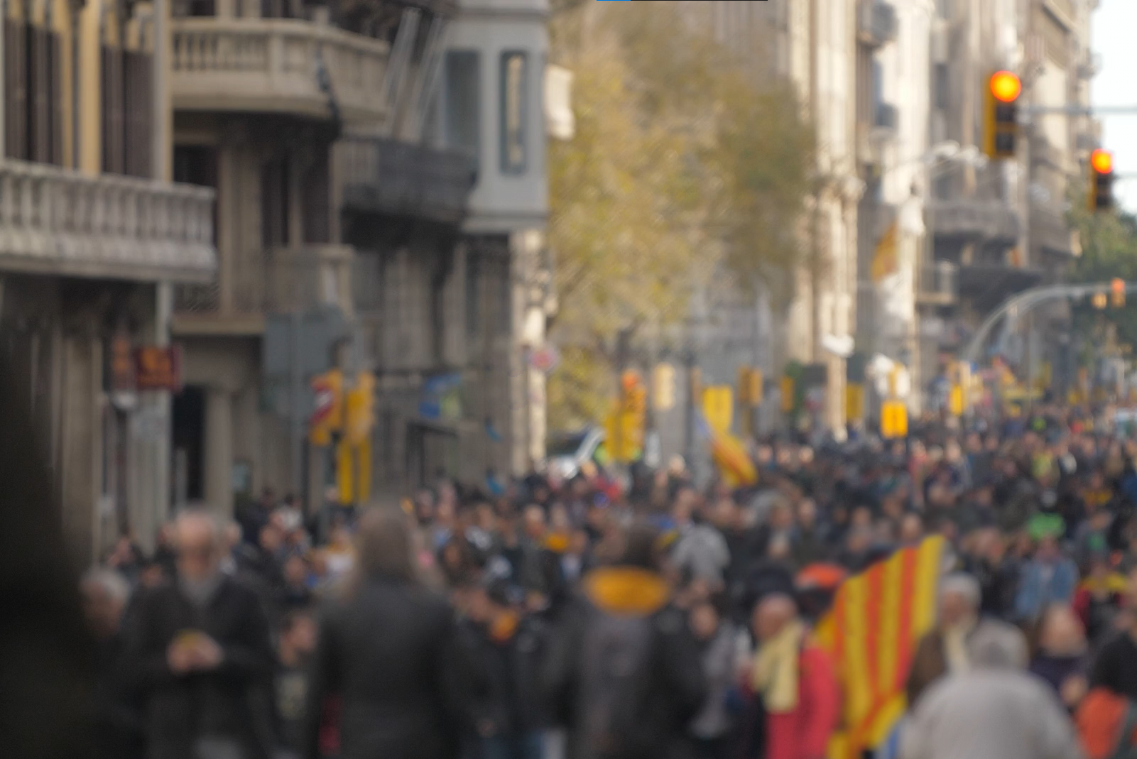 Oferta Diada Oferta Diada