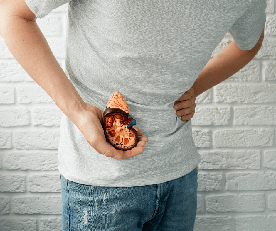 Tors d'una persona. Amb una mà subjecta la recreació d'un ronyó amb càlculs renals. Amb l'altra es toca la zona adolorida pel desplaçament dels càlculs